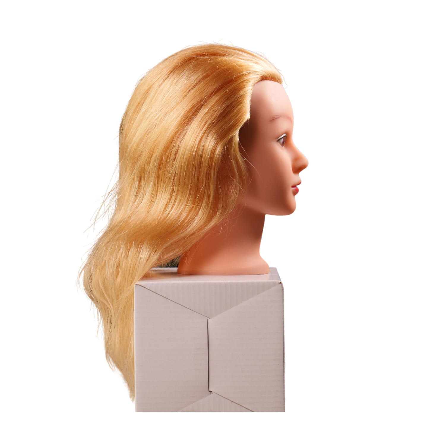 Cheryl Blonde Manikin