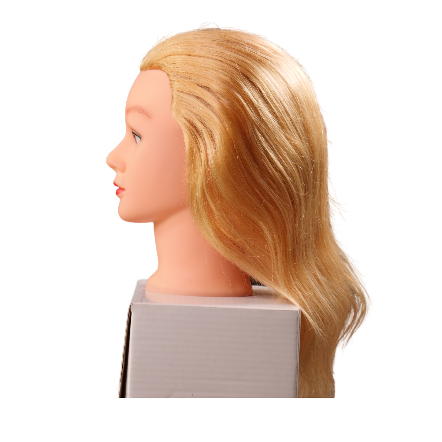 Cheryl Blonde Manikin
