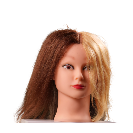 Ebony 4 Quad Multicultural Manikin
