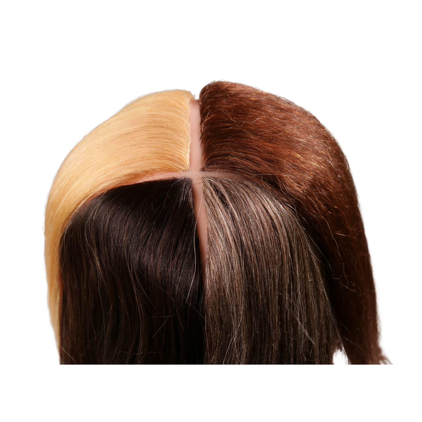 Ebony 4 Quad Multicultural Manikin