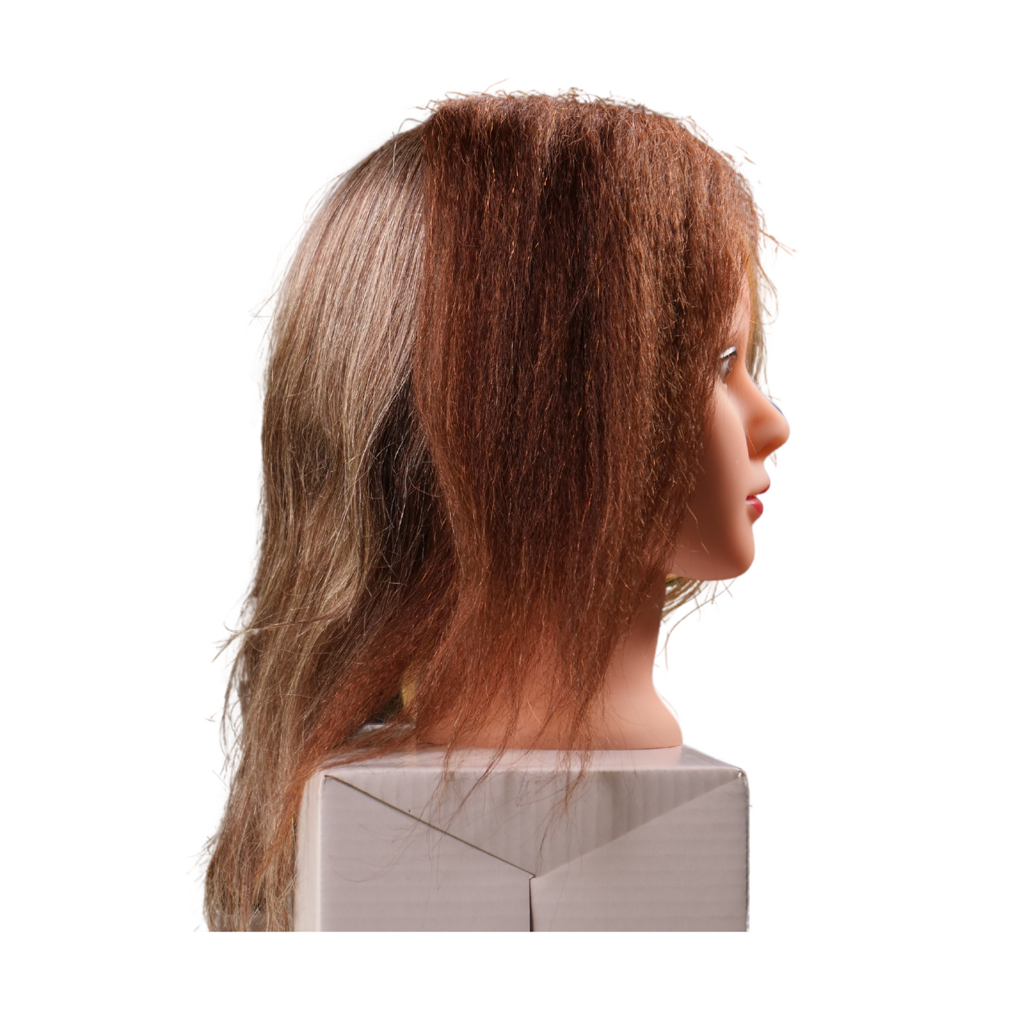 Ebony 4 Quad Multicultural Manikin