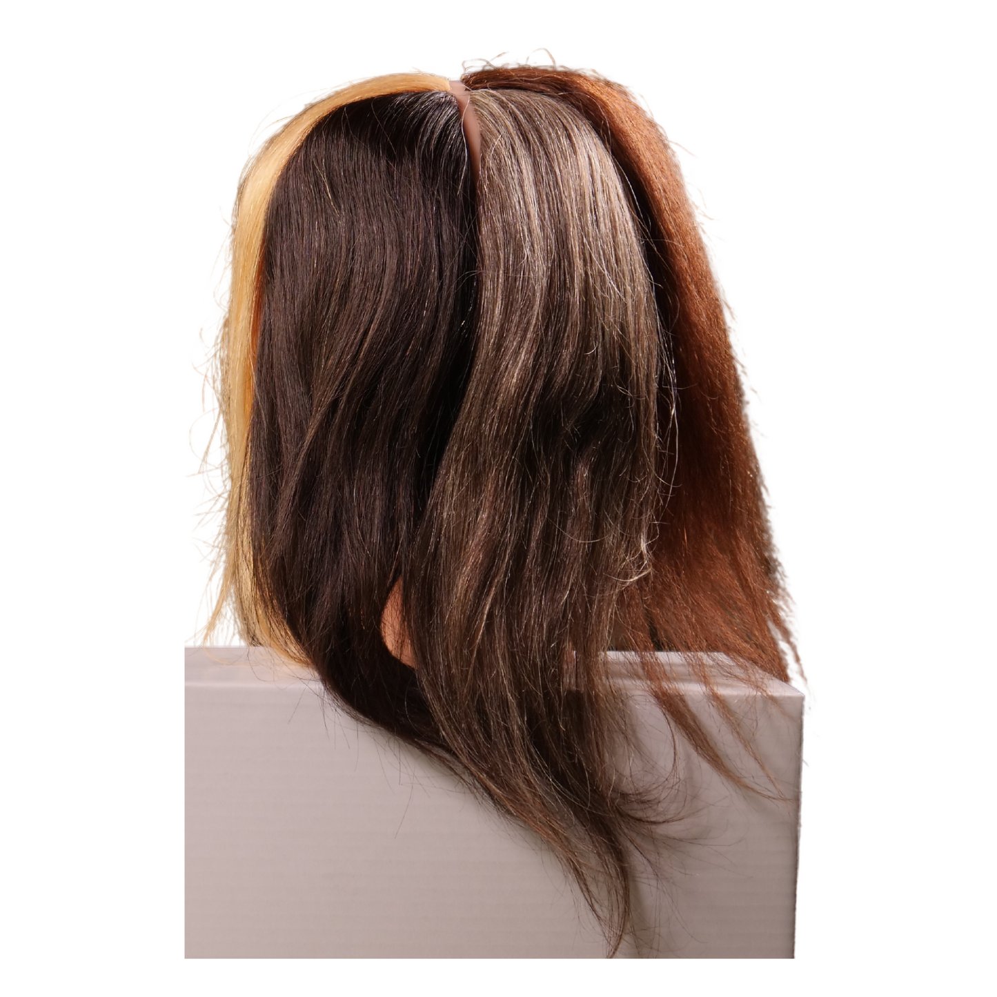Ebony 4 Quad Multicultural Manikin