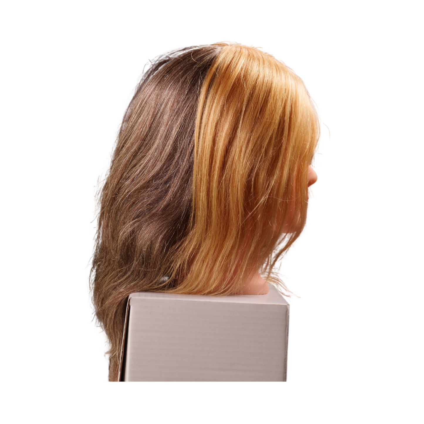 Meg 4 Quad Manikin
