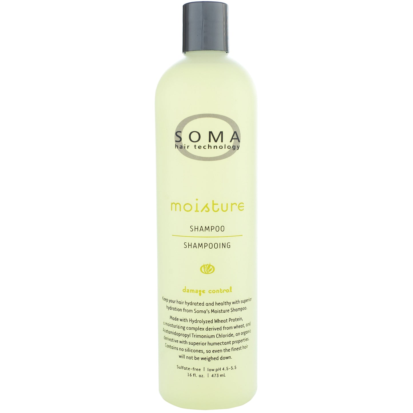 Moisture Shampoo