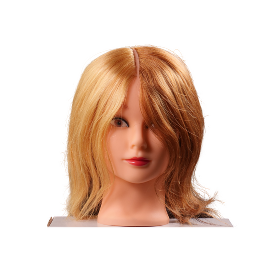 Meg 4 Quad Manikin