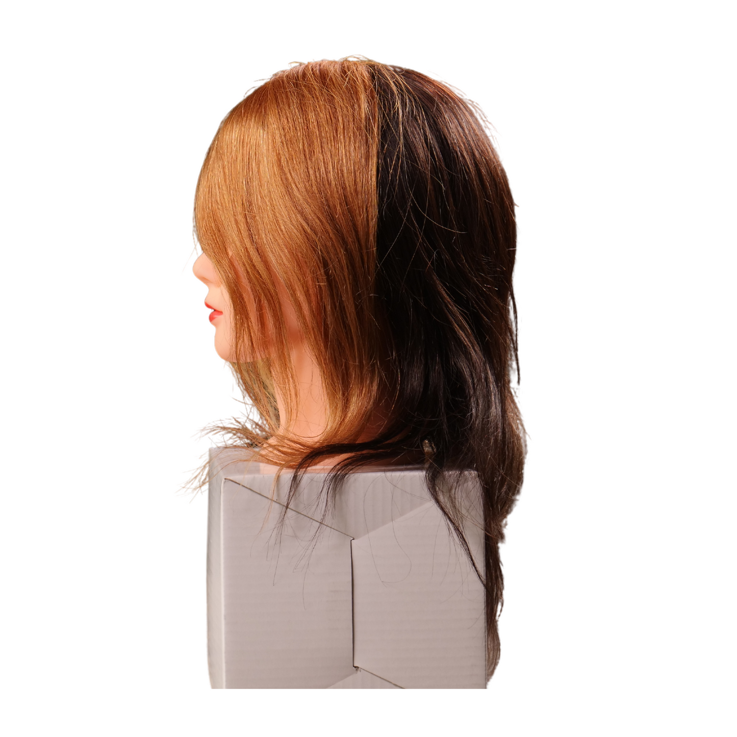 Meg 4 Quad Manikin